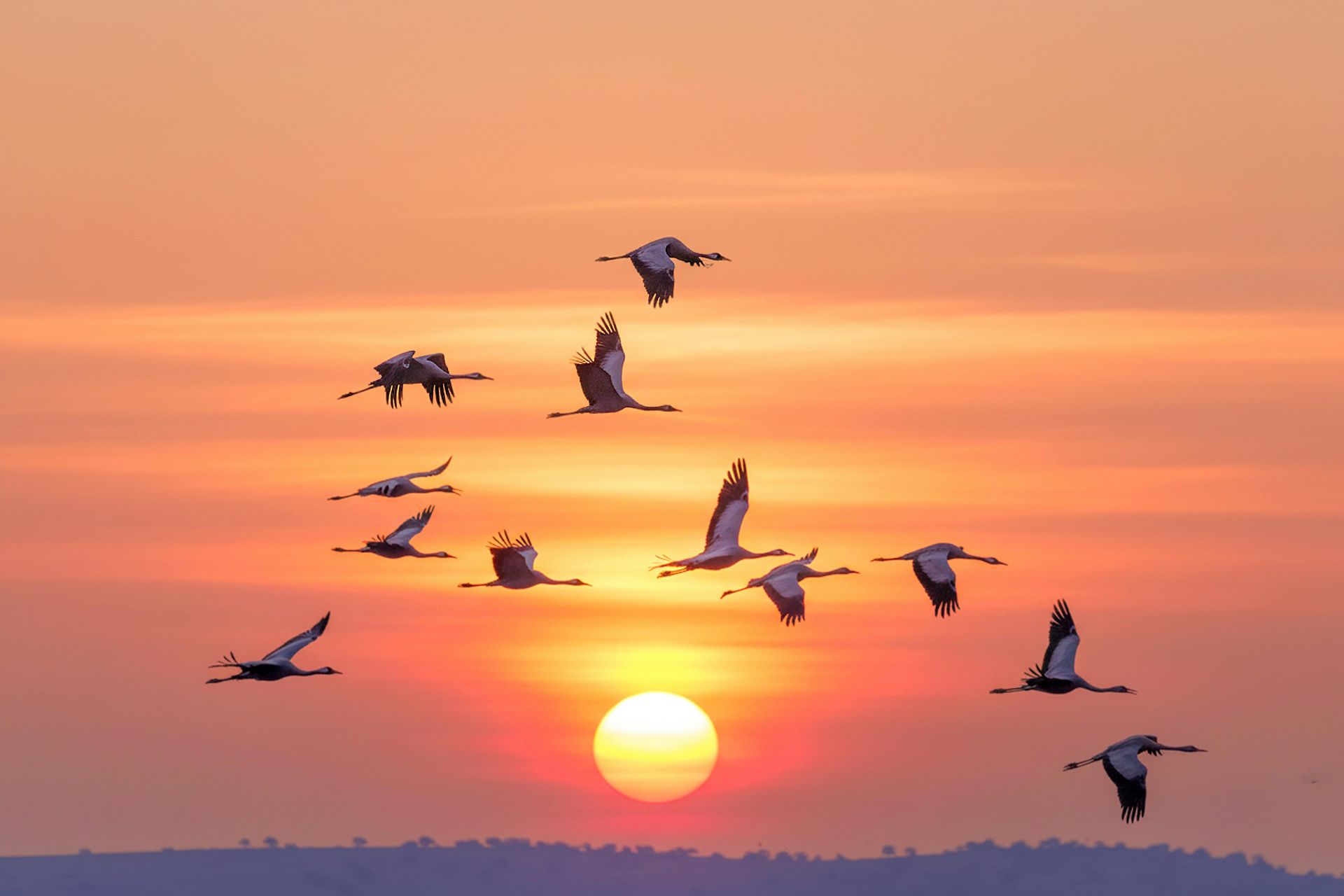 ation Changes Are Coming to Australia in July 2026