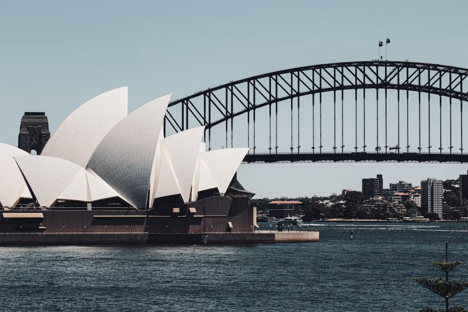 Visa Cancellation Under s116 and s501 What Actually Happens